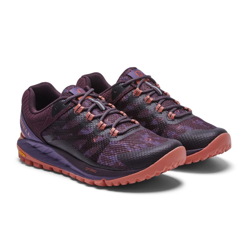 Basket Merrell Antora 2 Bordeaux/Violette Femme | V.T.LXML